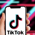 TikTok Platform Overview