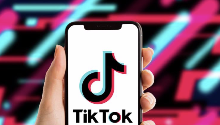 TikTok Platform Overview